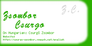 zsombor csurgo business card